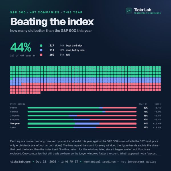 Beating the index card: 217 of 497 S&P 500 companies did better than the index this year, one square per company